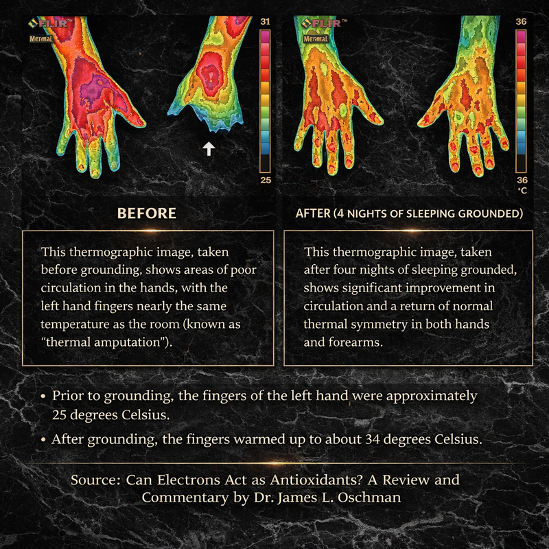 Neck Support Product